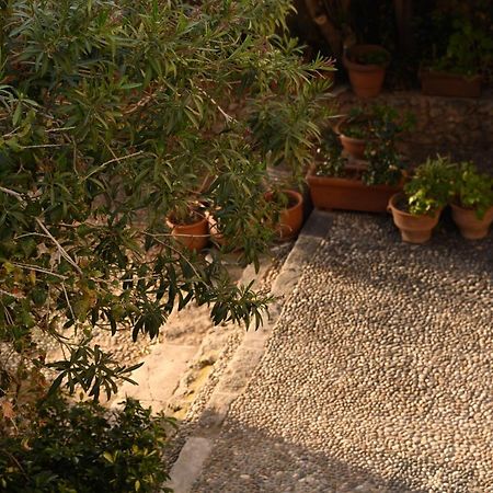 Willa Casa Artia Chania  Zewnętrze zdjęcie